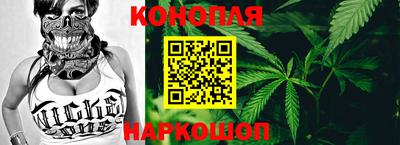 шишки Апшеронск