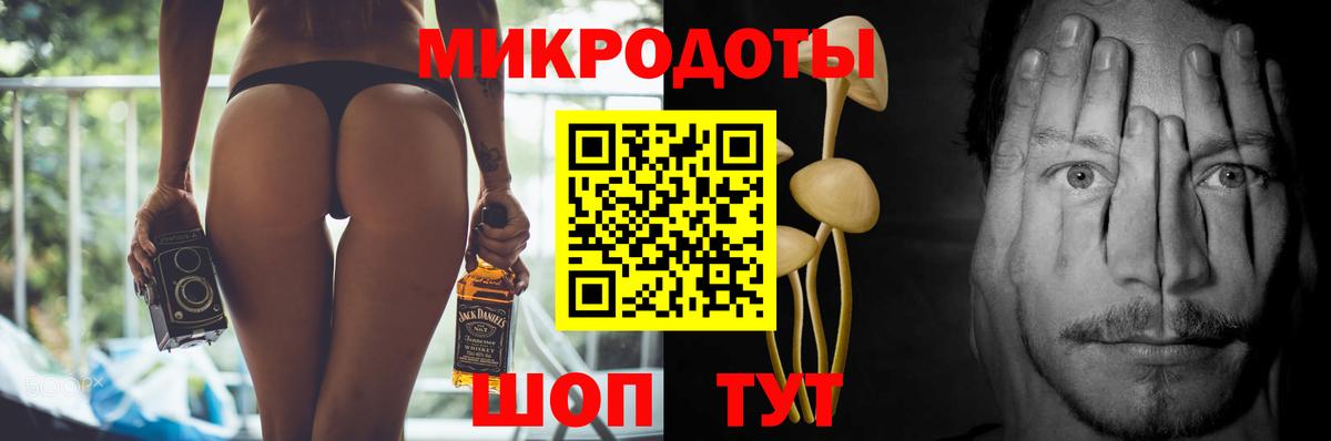 Галлюциногенные грибы Magic Shrooms  где купить наркоту  Моздок 